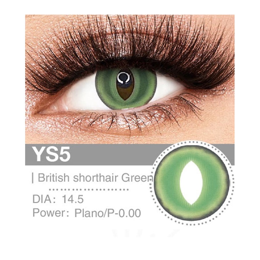 Lenti a contatto Lenti Cosplay British Shorthair Green 14.5 MM - Pidak Shop verde – ideali per cosplay e fotografia
