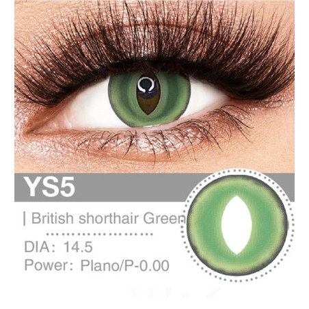 Lenti a contatto Lenti Cosplay British Shorthair Green 14.5 MM - Pidak Shop verde – ideali per cosplay e fotografia