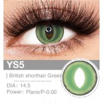 Lenti a contatto Lenti Cosplay British Shorthair Green 14.5 MM - Pidak Shop verde – ideali per cosplay e fotografia